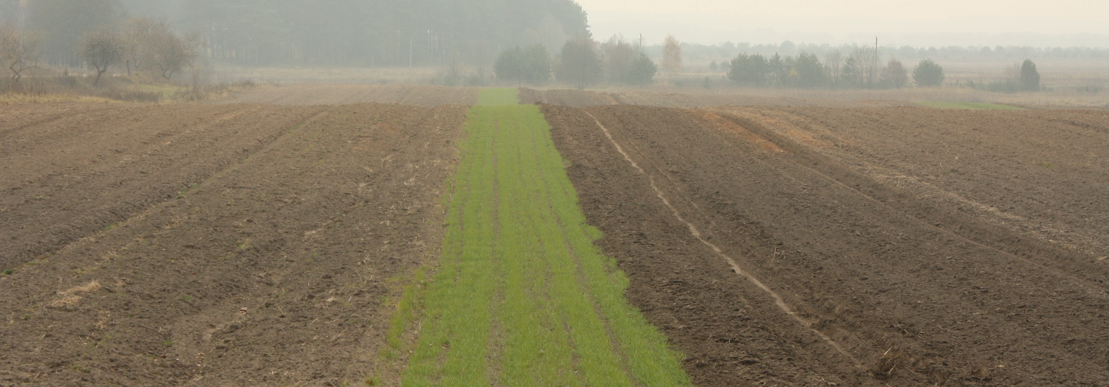 ŽEMĖ JUODOJI:  VELDĖMĖ, VALDA IR PAVELDĖTOSIOS VERTYBĖS